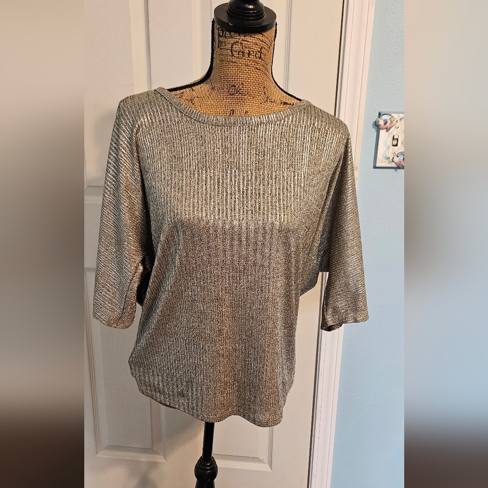 Kim & Cami Shimmering Silver Short Sleeve Top Size Large